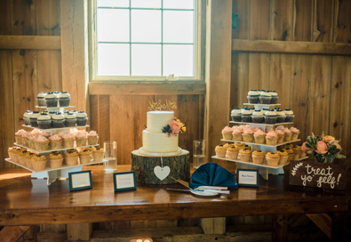 Small wedding cutting cake and cupcake display. Wyndridge Farms Dallastown PA