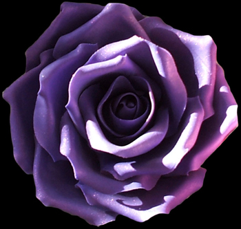 Large purple gumpaste sugar rose