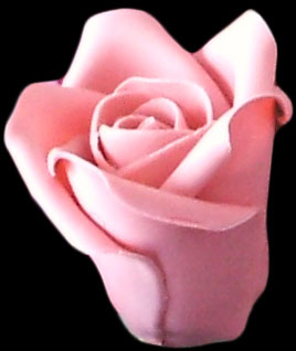 Small light pink sugar rose